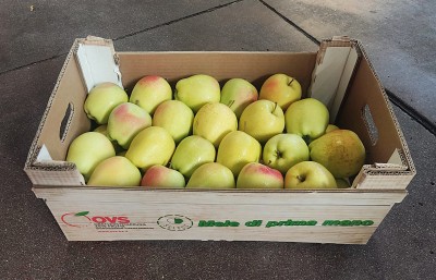 Foto Mele Golden Origine Italia Marchio   Ovs 1