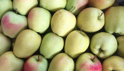 Foto Mele Golden Origine Italia Marchio   Ovs 2