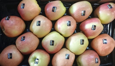 Foto Mele Golden Calibro 16 Origine Italia Marchio Golden Rose' 2