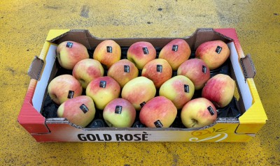 Foto Mele Golden Rosè Calibro 18 Origine Italia Marchio Golden Rosè 1