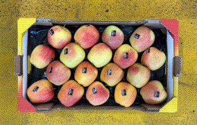 Foto Mele Golden Rosè Calibro 18 Origine Italia Marchio Golden Rosè 3