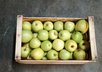 Foto Mele Golden Calibro 75+ Origine Italia Marchio Alegra               3