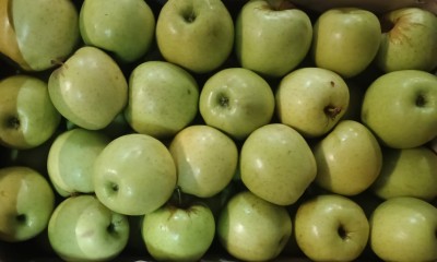 Foto Mele Golden Lavorazione In cassa di legno Calibro 75+ Origine Italia Marchio Alegra  2