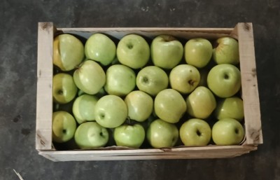 Foto Mele Golden Lavorazione In cassa di legno Calibro 75+ Origine Italia Marchio Alegra  3
