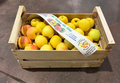 Foto Mele Golden Lavorazione In Cassa Di Legno Calibro 70/80 Origine Italia Marchio Luciano Fruit 1