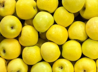 Foto Golden Calibro 75/80 Origine Italia Marchio Alegra 2