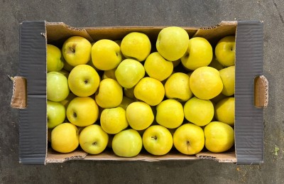 Foto Golden Calibro 75/80 Origine Italia Marchio Alegra 3