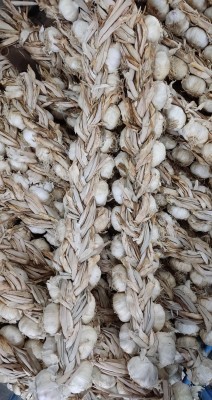 Foto Aglio Lavorazione In  Treccia DA 3,7 Kg Origine Spagna Marchio Legumi Fondi   1