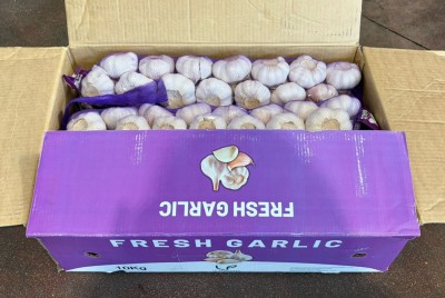 Foto Aglio Treccia Cartone da 10 Kg Origine Cina Marchio Fresh Garlic 1