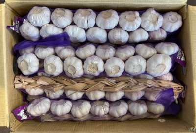 Foto Aglio Treccia Cartone da 10 Kg Origine Cina Marchio Fresh Garlic 3