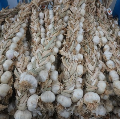 Foto Aglio Treccia Origine Italia Marchio Legumi Fondi          1