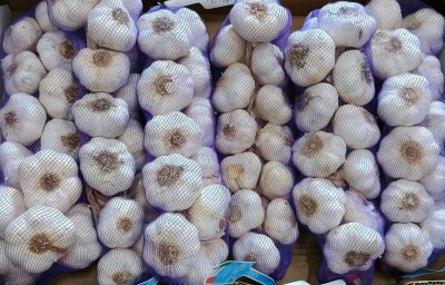 Foto Aglio Bianco Confezione Da 6 Kg Composta Da 6 Trecce Da 1 Kg Origine Italia Marchio Rossi  2