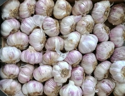 Foto Aglio Rosso Confezione Da 3 Kg Origine Argentina Marchio Rossi  2