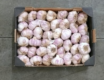 Foto Aglio Rosso Confezione Da 3 Kg Origine Argentina Marchio Rossi  3