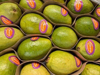 Foto Goyava Rosa Origine Colombia Marchio Ci Dorato 2