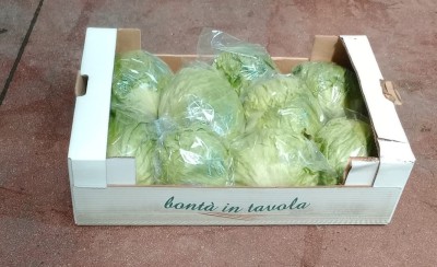 Foto Iceberg Origine Italia Marchio Cambise  1