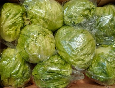 Foto Iceberg Origine Italia Marchio Cambise  2