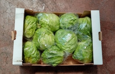 Foto Iceberg Origine Italia Marchio Cambise  3