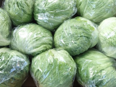 Foto Iceberg calibro 10 Origine Spagna Marchio Mimaflor            2