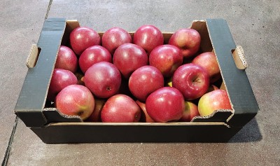 Foto Mele Imperatore Calibro 85/90 Origine Italia Marchio Alegra 1