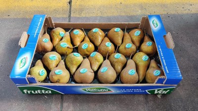 Foto Pere Kaiser Calibro 22 Origine Italia Marchio Valfrutta 1