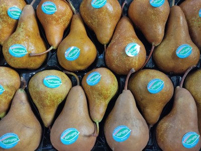 Foto Pere Kaiser Calibro 22 Origine Italia Marchio Valfrutta 2