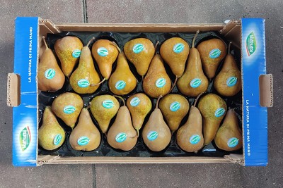 Foto Pere Kaiser Calibro 22 Origine Italia Marchio Valfrutta 3