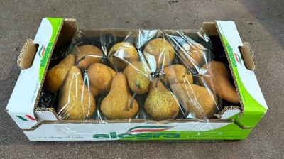 Foto Pere Kaiser Calibro 60/65 Origine Italia Marchio Alegra 1