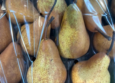 Foto Pere Kaiser Calibro 60/65 Origine Italia Marchio Alegra 2