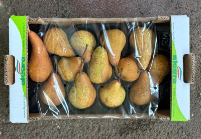 Foto Pere Kaiser Calibro 60/65 Origine Italia Marchio Alegra 3