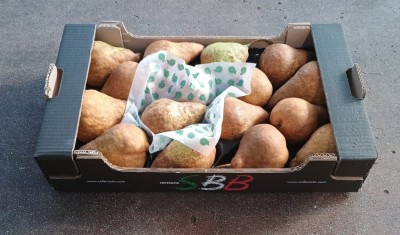 Foto Kaiser Calibro  16 Origine Italia Marchio Sbb  1