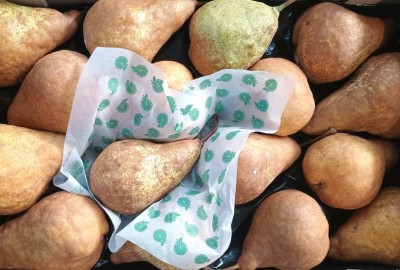 Foto Kaiser Calibro  16 Origine Italia Marchio Sbb  2