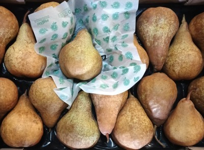 Foto Kaiser Calibro 18 Origine Italia Marchio Sbb  2