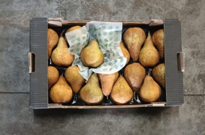 Foto Kaiser Calibro 18 Origine Italia Marchio Sbb  3