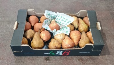 Foto Kaiser Calibro 20 Origine Italia Marchio Sbb  1