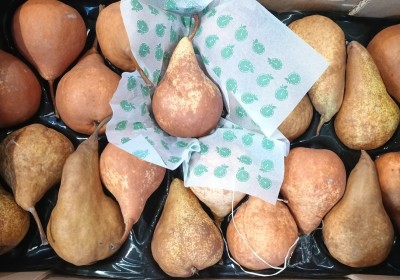 Foto Kaiser Calibro 20 Origine Italia Marchio Sbb  2