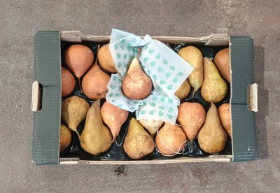 Foto Kaiser Calibro 20 Origine Italia Marchio Sbb  3