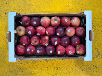 Foto Kissabell Calibro 65/70 Origine Italia Marchio Melinda         3