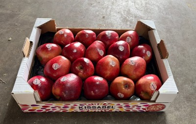 Foto Mele Kissabel Calibro 18 Ogine Italia Marchio Kissabel 1