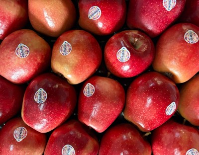 Foto Mele Kissabel Calibro 18 Ogine Italia Marchio Kissabel 2