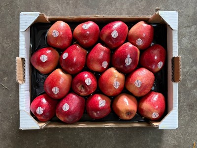 Foto Mele Kissabel Calibro 18 Ogine Italia Marchio Kissabel 3