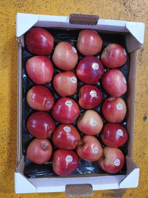 Foto Kissbell Calibro 20 Origine Italia Marchio Kissabell 3