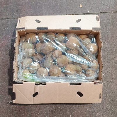 Foto Kiwi Varietà Hayward Calibro 25 Origine Chile Marchio Battaglio                  1