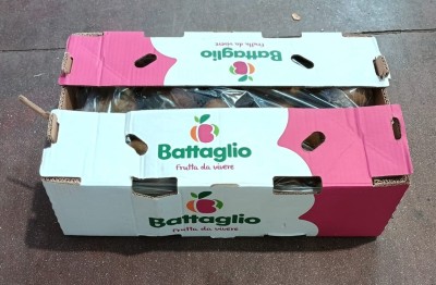 Foto Kiwi Varietà Hayward Calibro 25 Origine Chile Marchio Battaglio                  3
