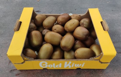 Foto Kiwi Gold Calibro 27 Origine Italia Marchio Gold Kiwi      1