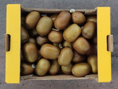 Foto Kiwi Gold Calibro 27 Origine Italia Marchio Gold Kiwi      3