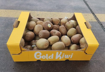 Foto Kiwi Gold Calibro 109/119 Origine Italia Marchio Gold Kiwi 1