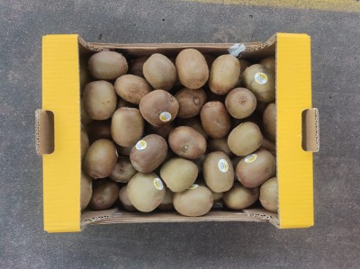 Foto Kiwi Gold Calibro 109/119 Origine Italia Marchio Gold Kiwi 3