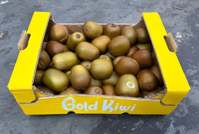 Foto Kiwi Gold Calibro 150/190 Origine Italia Marchio Gold Kiwi   1