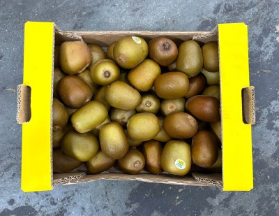 Foto Kiwi Gold Calibro 150/190 Origine Italia Marchio Gold Kiwi   3